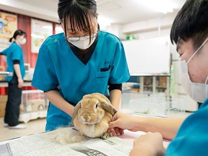 【来校型】ペット総合科 ペットアドバイザーコース 小動物のおせわ体験 のイメージ