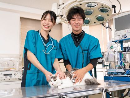 【来校型】動物看護科 ねこ博士になろう！ のイメージ