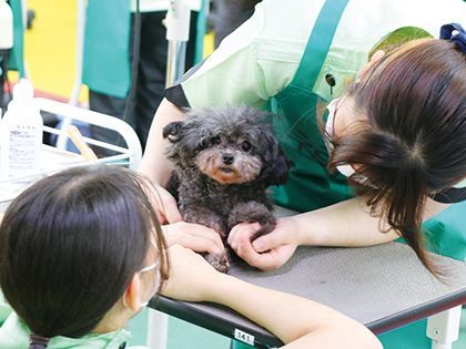 【来校型】ペット総合科 ドッグトレーナーコース ペットマッサージ体験 のイメージ