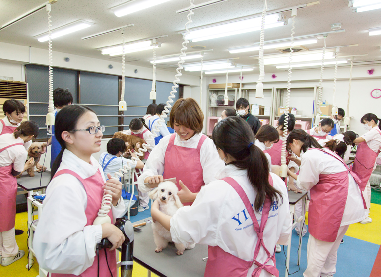 入学に関するお問い合わせ 京都の専門学校 Yic京都